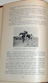 HOFMAN- HIPOLOGJA wyd. 1931r. TOM I-II. ILUTRACJE - 15