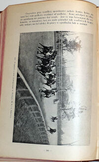 HOFMAN- HIPOLOGJA wyd. 1931r. TOM I-II. ILUTRACJE - 17