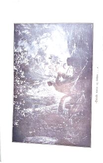 KAROL MAY - PRZEZ DZIKI KURDYSTAN wyd.1, oprawa wydawnicza - 6