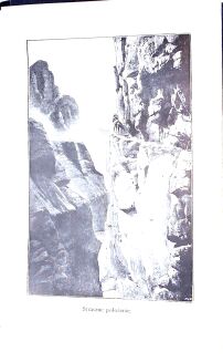 KAROL MAY - PRZEZ DZIKI KURDYSTAN wyd.1, oprawa wydawnicza - 9