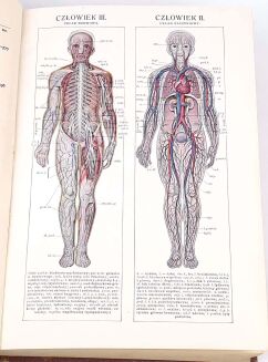 FRANCK- PORADNIK LEKARSKI DLA WSZYSTKICH - 6