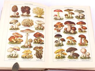 FRANCK- PORADNIK LEKARSKI DLA WSZYSTKICH - 8