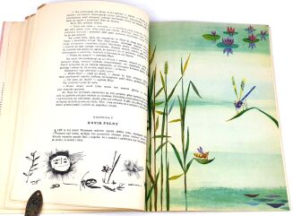 BONSELS - PSZCZÓŁKA MAJA I JEJ  PRZYGODY il.Czeczot - 6