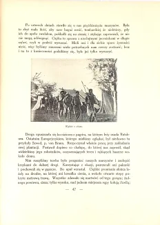SAPIEHA- LASY ITURI. WULKANY KIVU. Wspomnienia z podróży, wyd. 1928-34 - 8