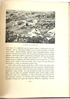SAPIEHA- LASY ITURI. WULKANY KIVU. Wspomnienia z podróży, wyd. 1928-34 - 13