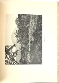 SAPIEHA- LASY ITURI. WULKANY KIVU. Wspomnienia z podróży, wyd. 1928-34 - 14