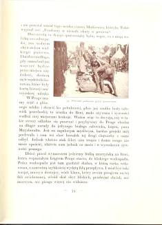 SAPIEHA- LASY ITURI. WULKANY KIVU. Wspomnienia z podróży, wyd. 1928-34 - 22