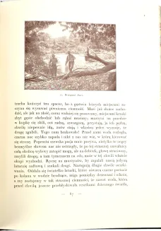 SAPIEHA- LASY ITURI. WULKANY KIVU. Wspomnienia z podróży, wyd. 1928-34 - 24