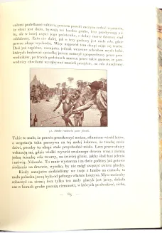 SAPIEHA- LASY ITURI. WULKANY KIVU. Wspomnienia z podróży, wyd. 1928-34 - 25