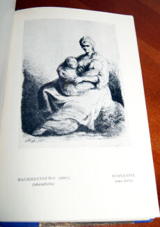 TRETER- MONOGRAFIE ARTYSTYCZNE t. VI-X oprawa - 19