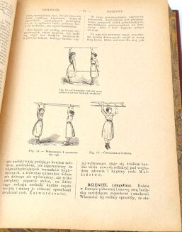 BONAMI - ENCYKLOPEDYA ILUSTROWANA MEDYCYNY I HYGIENY POPULARNEJ - 7