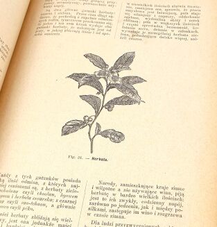 BONAMI - ENCYKLOPEDYA ILUSTROWANA MEDYCYNY I HYGIENY POPULARNEJ - 11