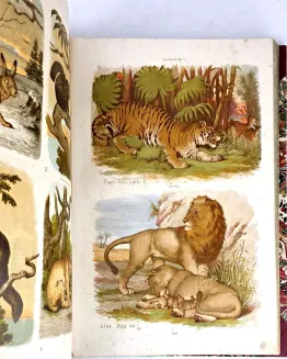 HAYEK- WIELKI ATLAS DO ZOOLOGII, BOTANIKI I MINERALOGII wyd.1887 - 14