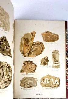 HAYEK- WIELKI ATLAS DO ZOOLOGII, BOTANIKI I MINERALOGII wyd.1887 - 25