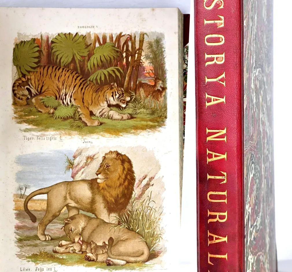 HAYEK- WIELKI ATLAS DO ZOOLOGII, BOTANIKI I MINERALOGII wyd.1887