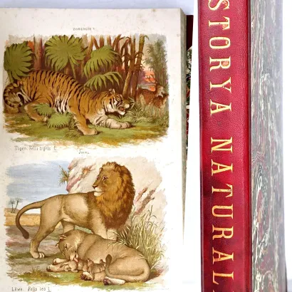 HAYEK- WIELKI ATLAS DO ZOOLOGII, BOTANIKI I MINERALOGII wyd.1887