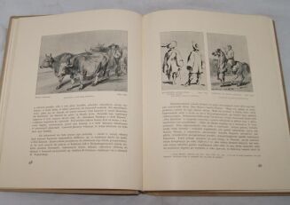 STERLING - PIOTR MICHAŁOWSKI 1932r. Ilustracje - 6