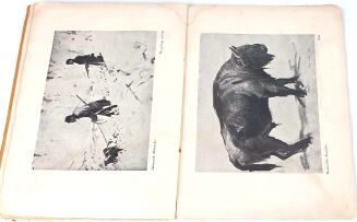 ŁOWIECTWO W SZTUCE POLSKIEJ Towarzystwo Zachęty Sztuk Pięknych 1937 - 8