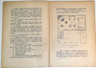 JANKOWSKI- OGRÓDEK PRZY CHACIE 1916 - 4