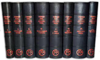 KING - MROCZNA WIEŻA 8 tomów [komplet] SKÓRA - 11