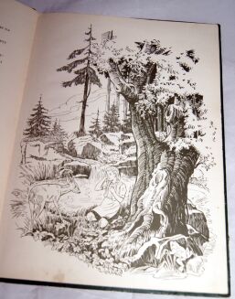 GRIMM- BRACISZEK I SIOSTRZYCZKA - 4