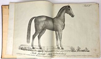 ŁYSZKOWSKI- ATLAS DO PORADNIKA HODOWLI I WETERYNARYI 31 tablic 1831 - 6