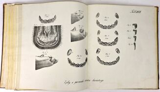 ŁYSZKOWSKI- ATLAS DO PORADNIKA HODOWLI I WETERYNARYI 31 tablic 1831 - 12