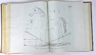 ŁYSZKOWSKI- ATLAS DO PORADNIKA HODOWLI I WETERYNARYI 31 tablic 1831 - 10