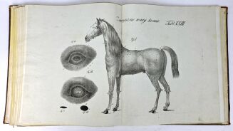 ŁYSZKOWSKI- ATLAS DO PORADNIKA HODOWLI I WETERYNARYI 31 tablic 1831 - 11
