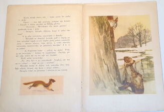 BIANKI- DZIUPLA ilustr. RYŁOW - 3