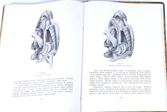 PASZKIEWICZ - TECHNIKA SEKCJI ZWŁOK. Warszawa 1923 - 8