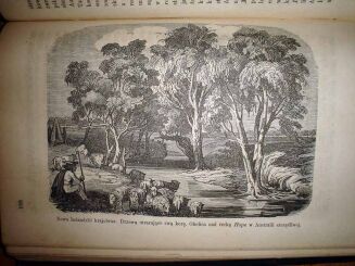 MULLER- ŚWIAT ROŚLINNY wyd. 1876r. TOM I-II. RYCINY - 10