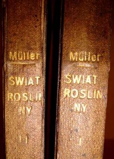 MULLER- ŚWIAT ROŚLINNY wyd. 1876r. TOM I-II. RYCINY - 2
