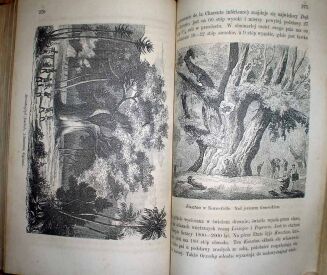 MULLER- ŚWIAT ROŚLINNY wyd. 1876r. TOM I-II. RYCINY - 8