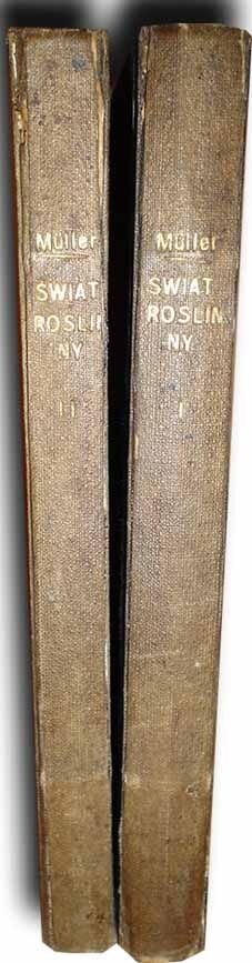 MULLER- ŚWIAT ROŚLINNY wyd. 1876r. TOM I-II. RYCINY