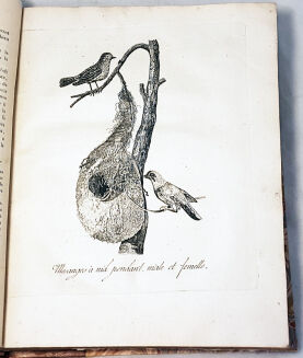 COXE- VOYAGE EN POLOGNE, RUSSIE, SUEDE, DANNEMARC, etc. t.1-2 [komplet w 2 wol.] wyd. 1786  - 16