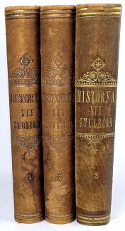 CZECHOWSKI - HISTORYA XIX STULECIA. Dzieje polityki, literatury, sztuki, nauki, przemysłu itp. T. 1-3 [komplet w 3 wol.], dekoracyjny półskórek - 2
