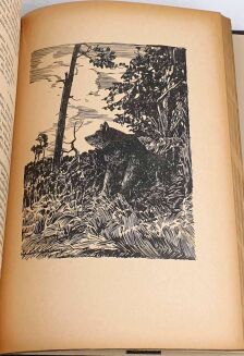 DYAKOWSKI- NASZ LAS I JEGO MIESZKAŃCY wyd. 1939, oprawa luksusowy półskórek - 9