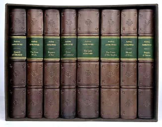 Andrzej Sapkowski - The Witcher Complete Series, Leather Binding - 2