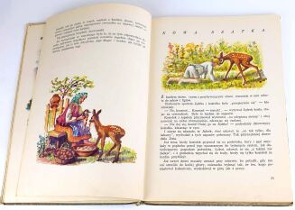 KOWNACKA- ROGAŚ Z DOLINY ROZTOKI wyd. 1959 - 3