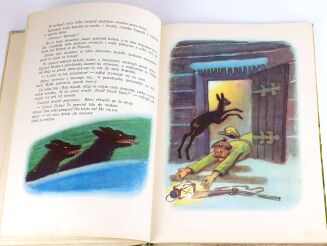 KOWNACKA- ROGAŚ Z DOLINY ROZTOKI wyd. 1959 - 4