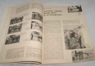 KOŃ POLSKI 1971 nr 4 - 4