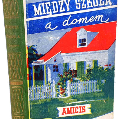 AMICIS - MIĘDZY SZKOŁĄ A DOMEM