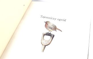 BURNETT - TAJEMNICZY OGRÓD il. Robert Ingpen, oprawa artystyczna - 5