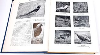 CORNISCH- ŚWIAT ZWIERZĄT Tom I-II setki ilustracji OPRAWA PUGET  - 5