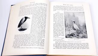 CORNISCH- ŚWIAT ZWIERZĄT Tom I-II setki ilustracji OPRAWA PUGET  - 6