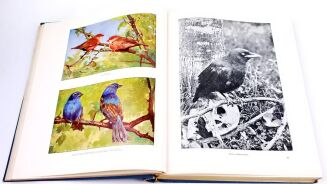 CORNISCH- ŚWIAT ZWIERZĄT Tom I-II setki ilustracji OPRAWA PUGET  - 8