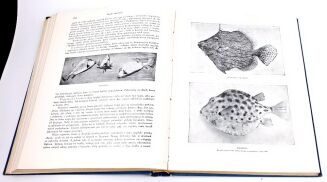 CORNISCH- ŚWIAT ZWIERZĄT Tom I-II setki ilustracji OPRAWA PUGET  - 11