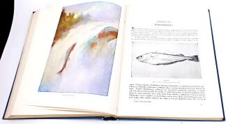 CORNISCH- ŚWIAT ZWIERZĄT Tom I-II setki ilustracji OPRAWA PUGET  - 12