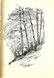 MONTGOMERY- ANIA Z ZIELONEGO WZGÓRZA 1-5 - 11